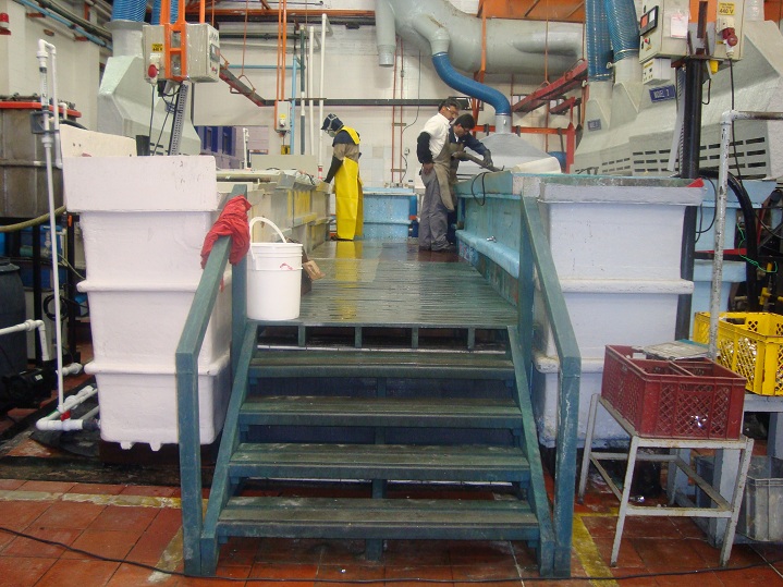 2 1 pisos industriales plasticos no