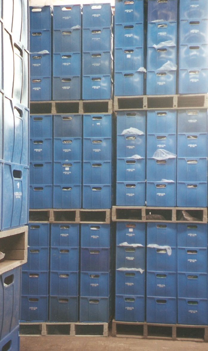 2 4 estanterias racks y gabinetes