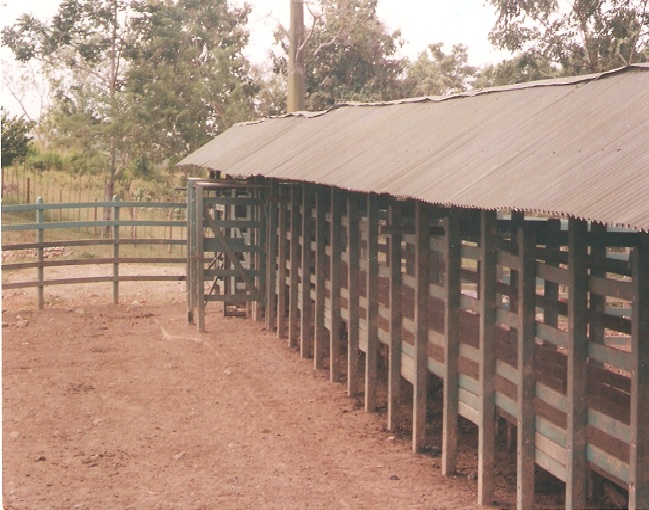 39 Corrales Establos Instalaciones Ganaderia